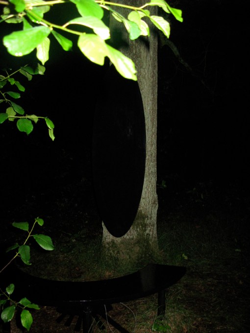 The shadow never disappeard - Karin van Pinxteren