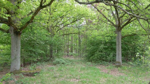 locatie Karin van Pinxteren Ontketening