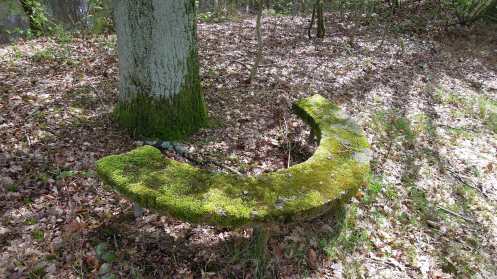Locatie De Ontketening/ Location The Unleashing Park Wolfslaar