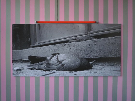 The Caretaker | Karin van Pinxteren | MeetFactory Prague